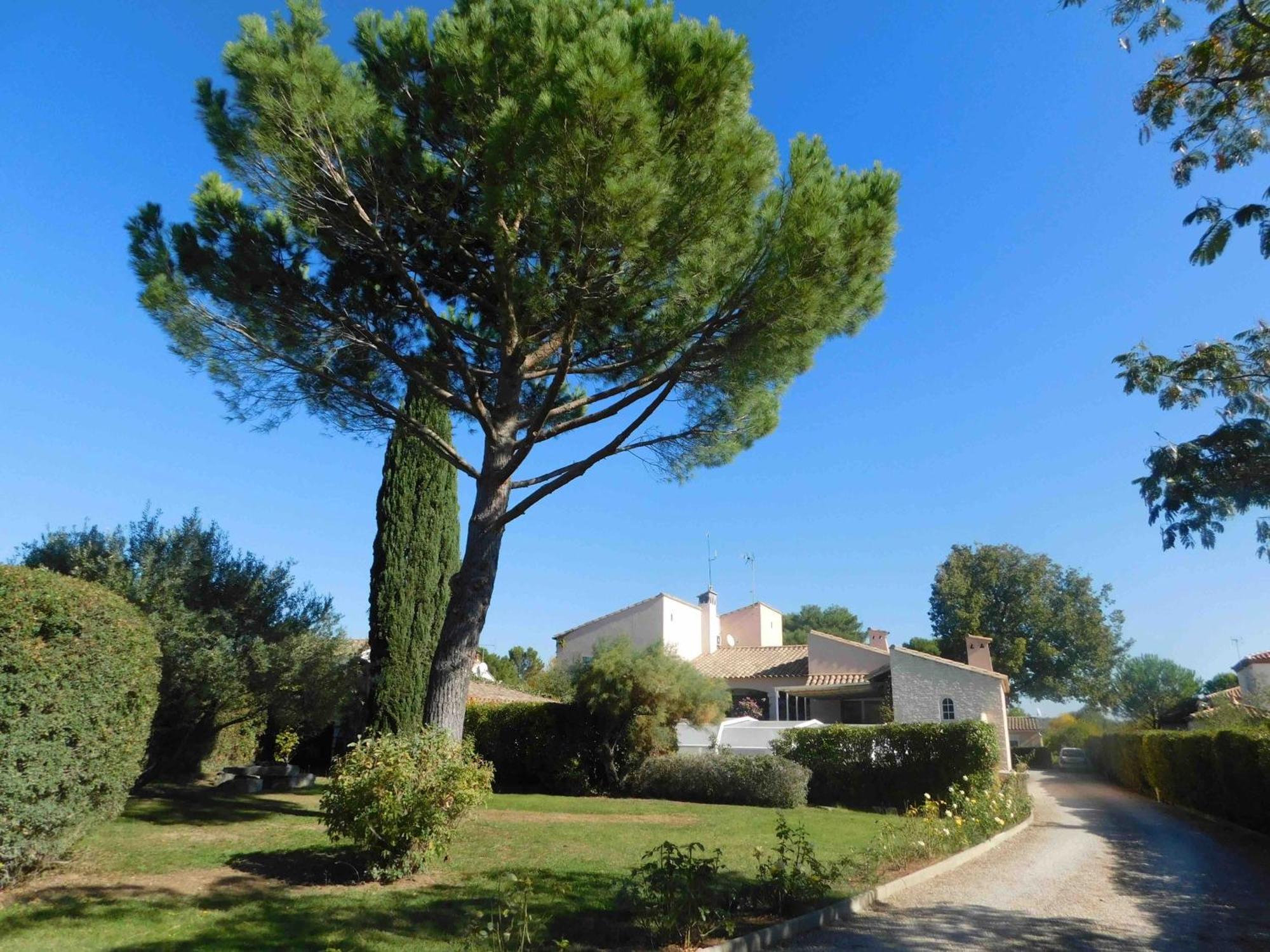 Les Bougainvillees De Camargue Villetelle Exterior photo