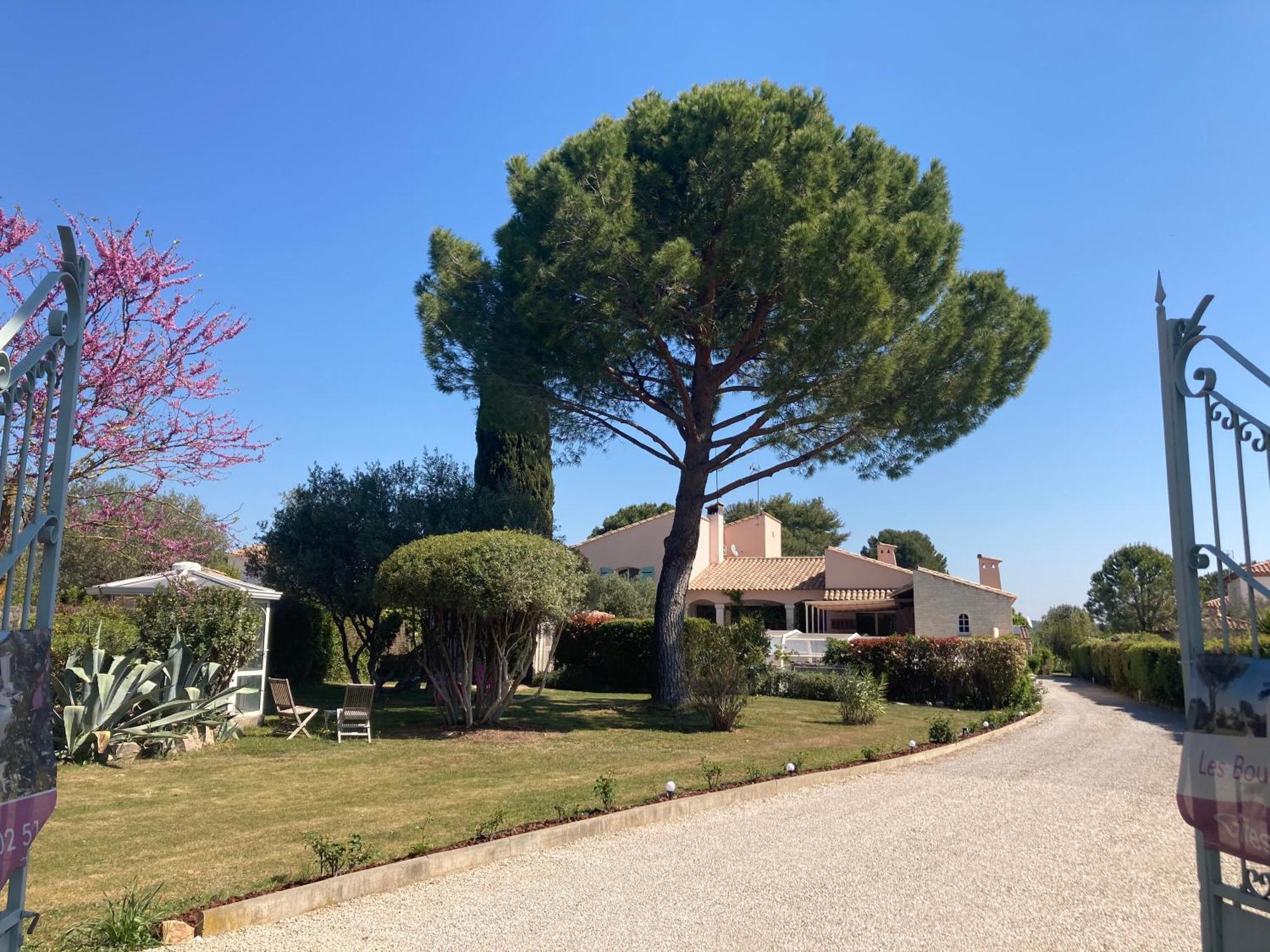 Les Bougainvillees De Camargue Villetelle Exterior photo