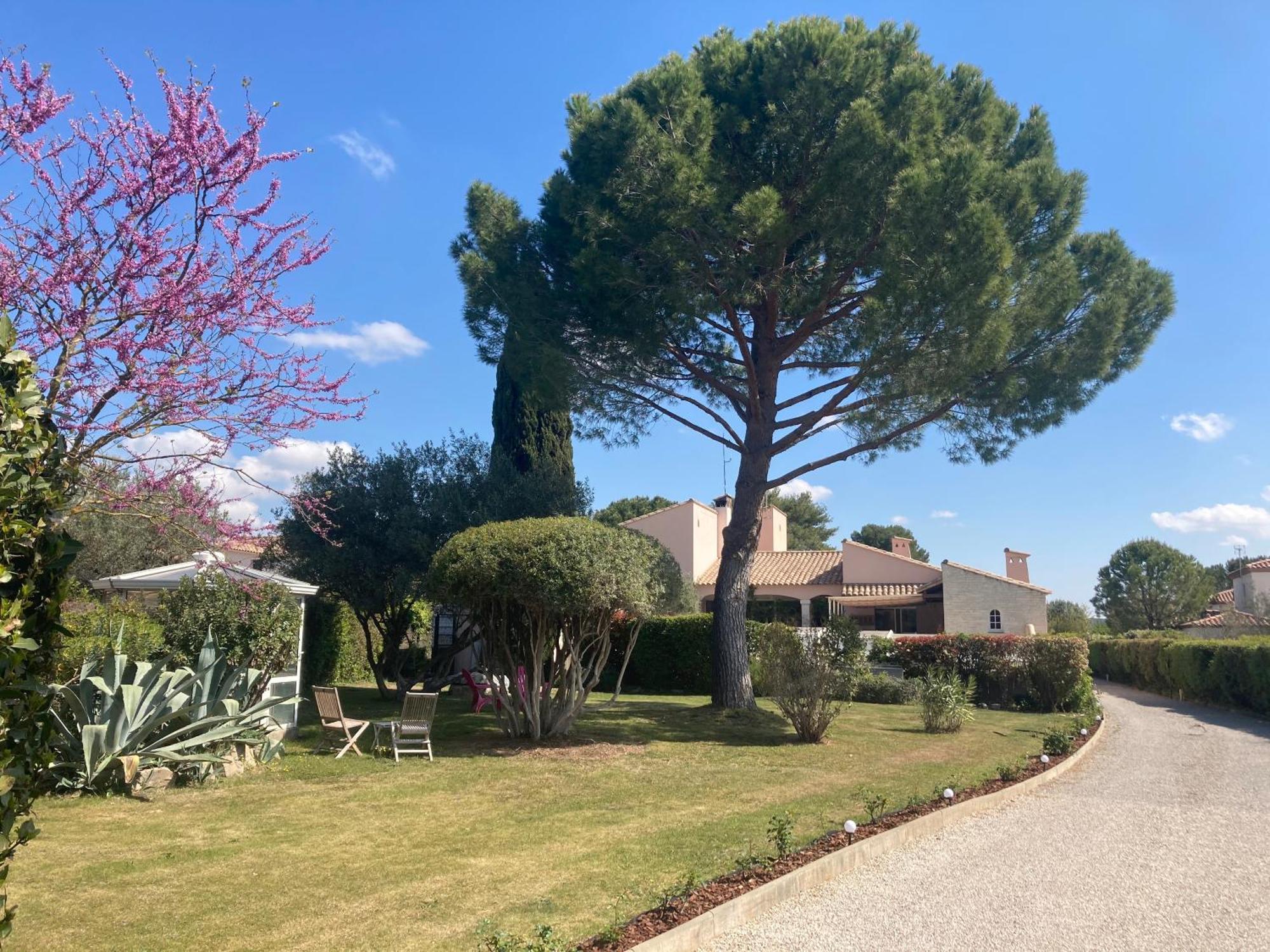 Les Bougainvillees De Camargue Villetelle Exterior photo