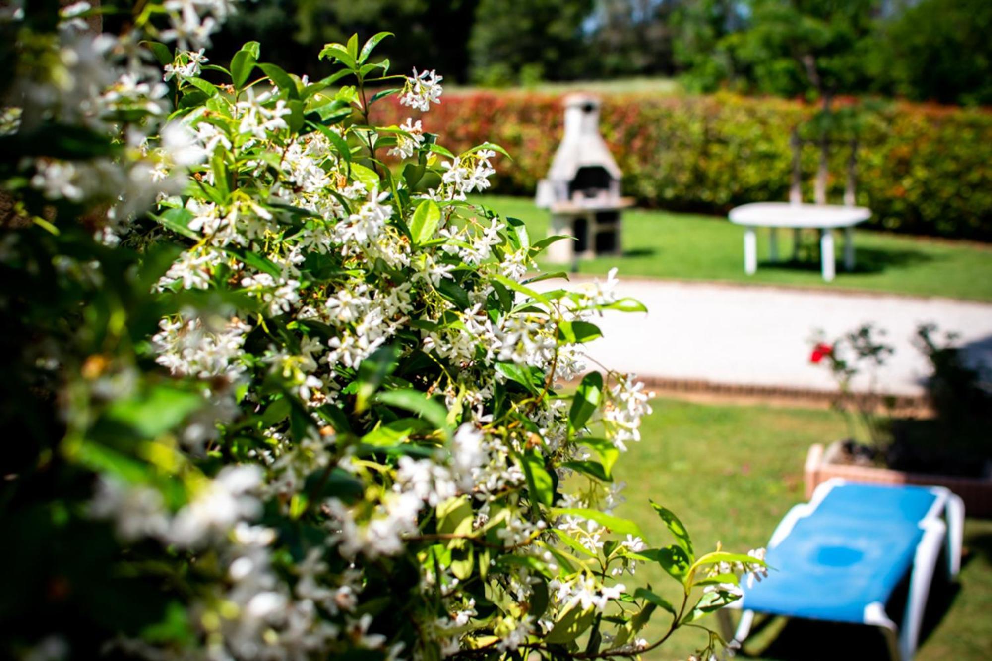 Les Bougainvillees De Camargue Villetelle Room photo